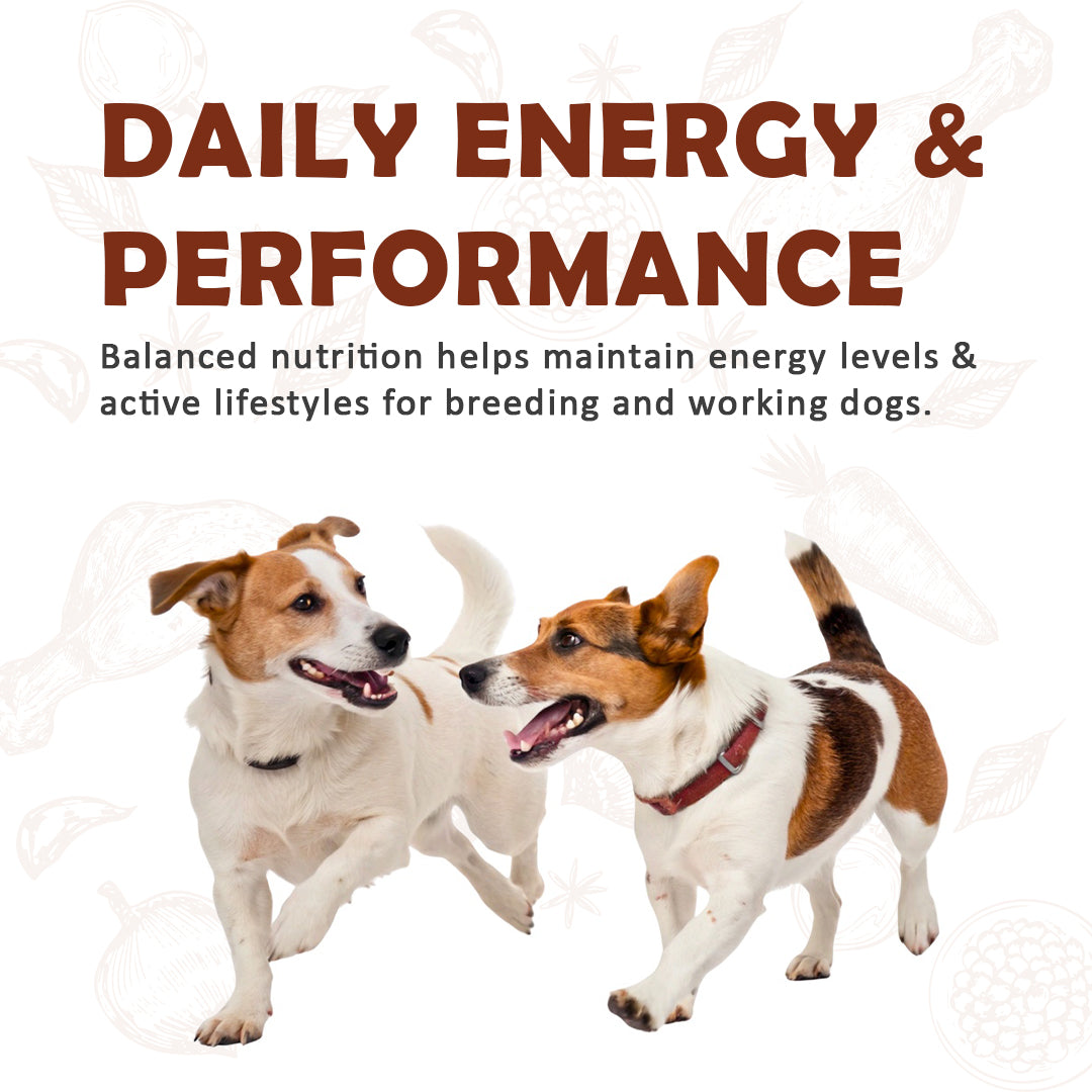 Grow Up Breeders Adult Dog Food 20kg | Chicken & Rice High Protein Dog Food