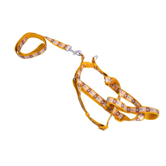 Yellow dog harness leash in india 