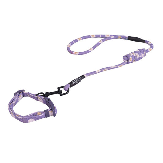 Purple dog leash in india 