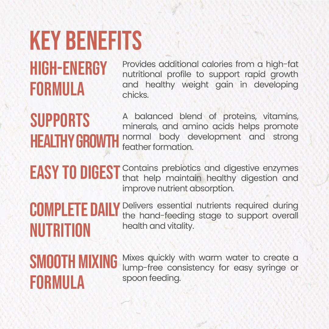 Key benefits of bird hand feeding formula