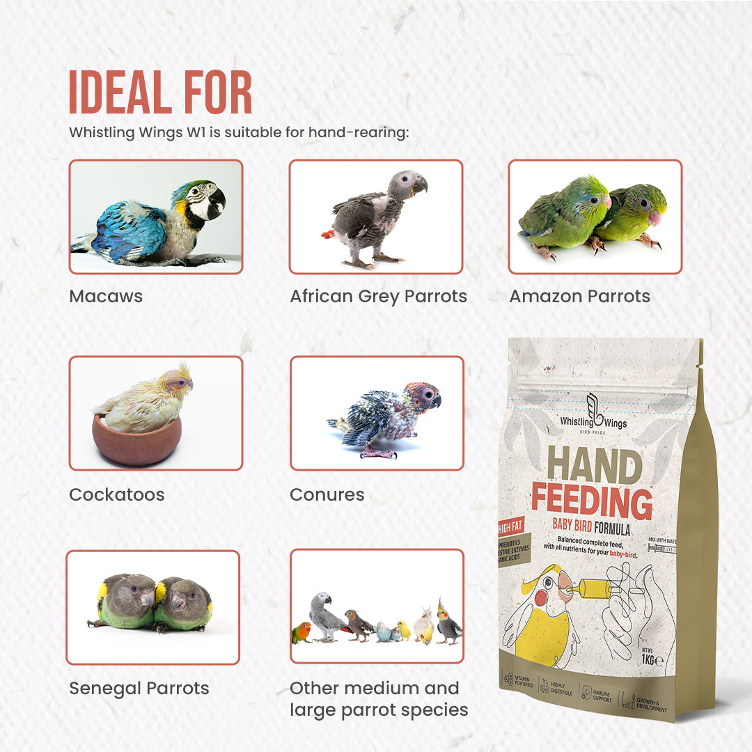 hand feeding for pigeons and parrots