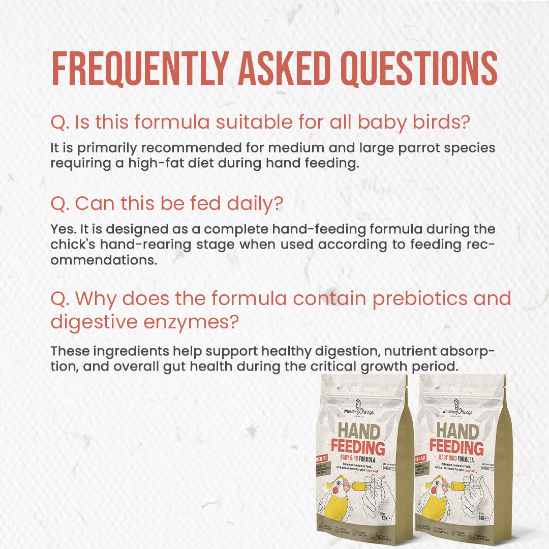 faqs of Hand Feeding Bird Formula 1kg
