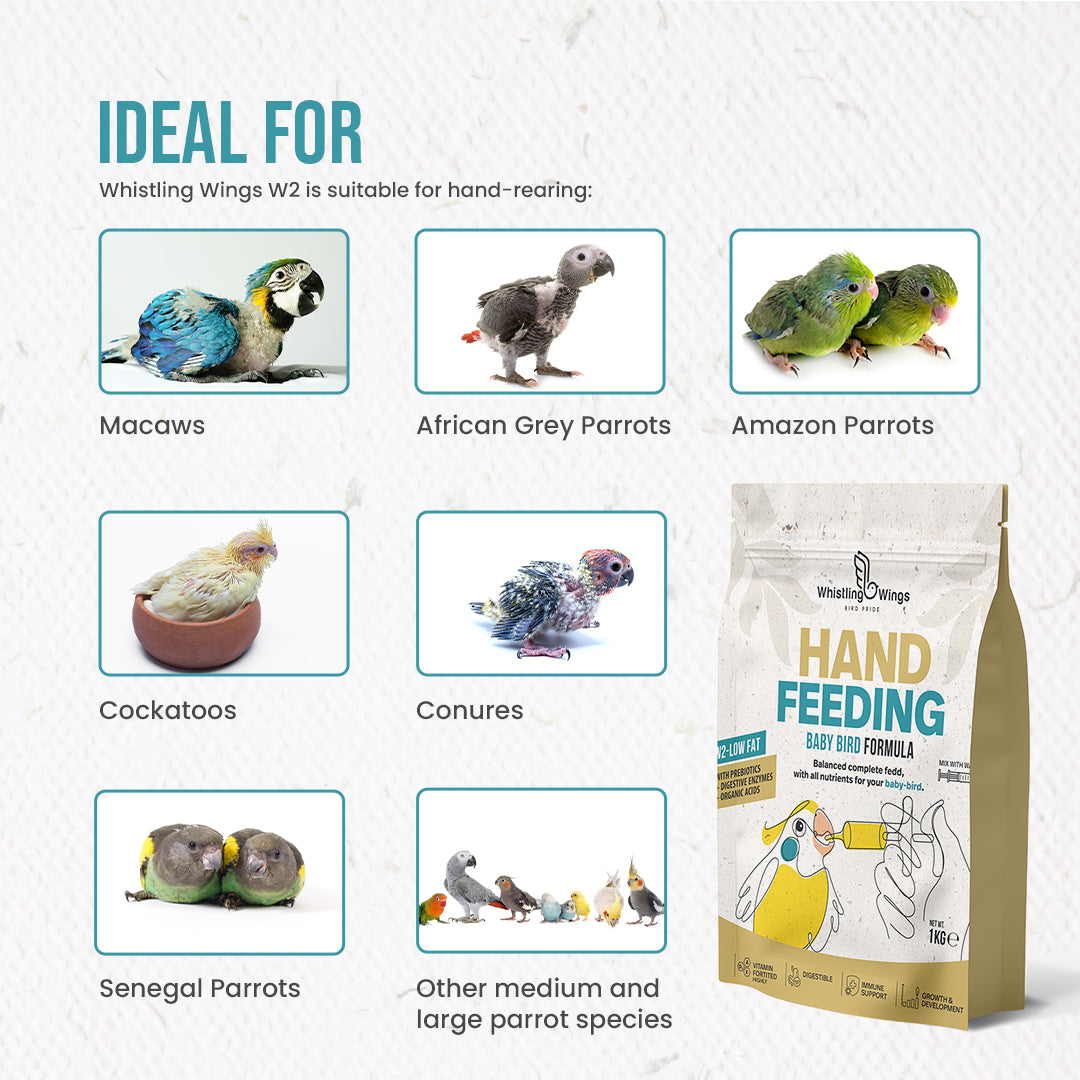 Whistling Wings W2 Low Fat Hand Feeding Formula