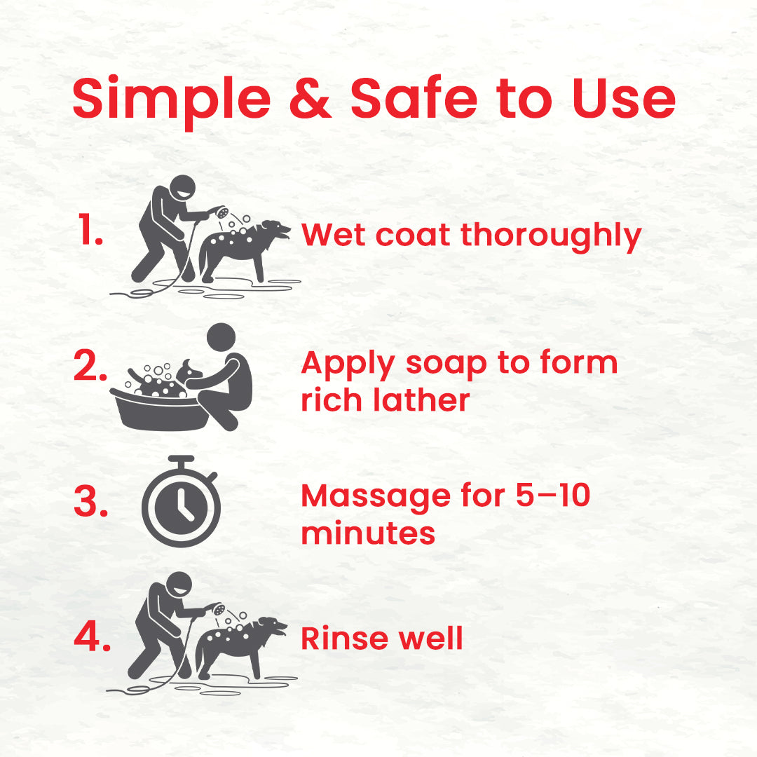 How to use Sulphosalic medicated pet soap for dogs