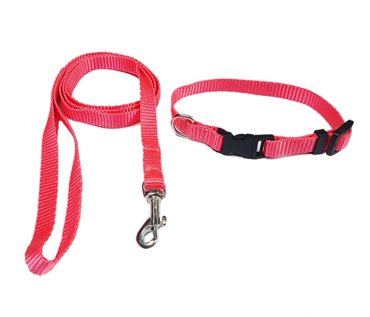 Dog collar and leash set in india 