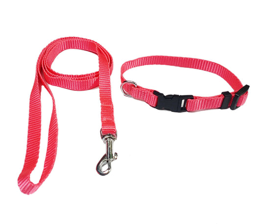 Dog collar and leash set in india 