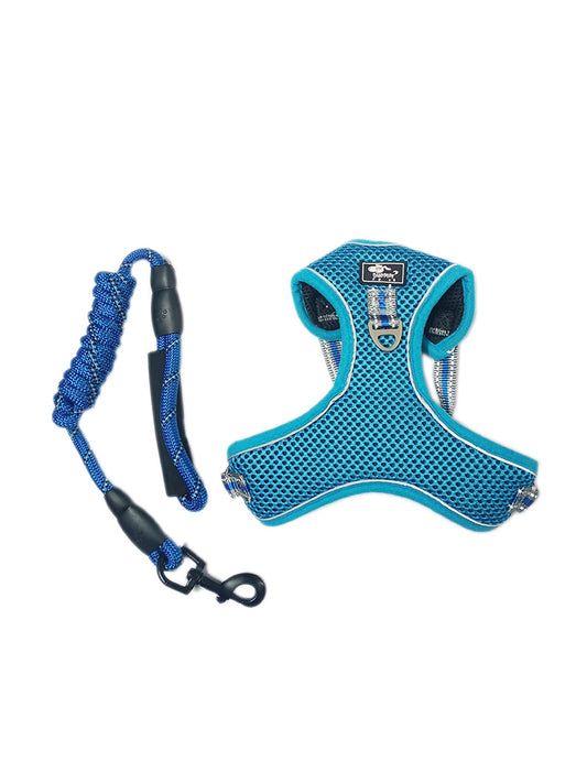 Blue dog harness and leash set in india 