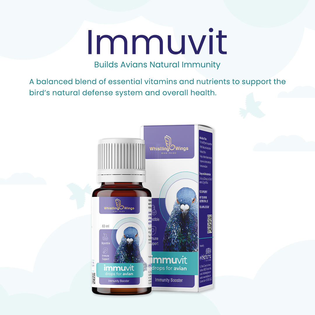 Immuvit Drops for Avian 60ml | Pigeon Supplement