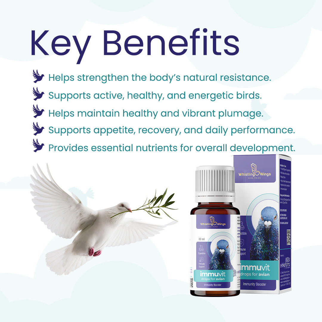 Immuvit Drops for Avian 60ml | Pigeon Supplement