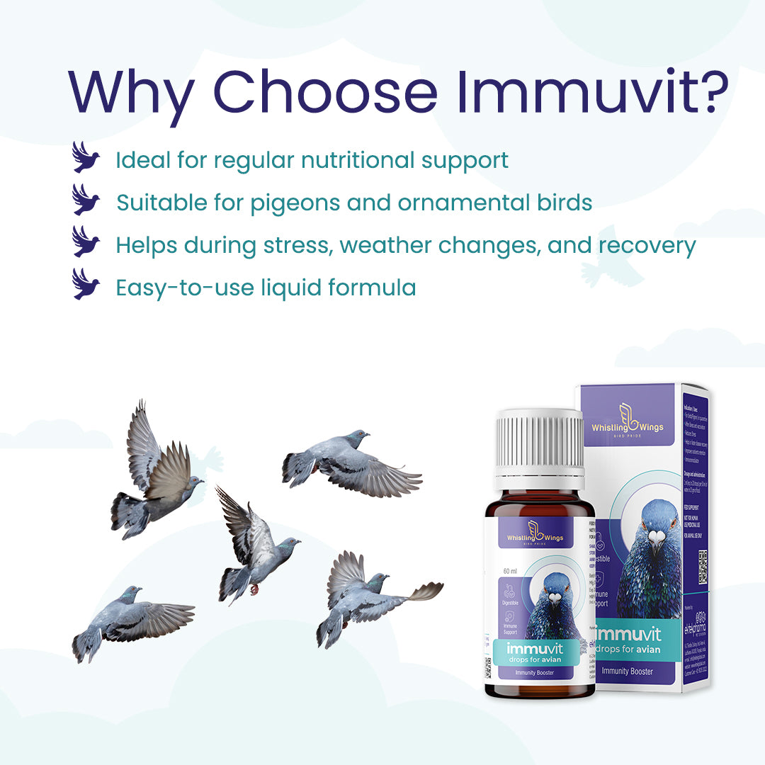 Immuvit Drops for Avian 60ml | Pigeon Supplement