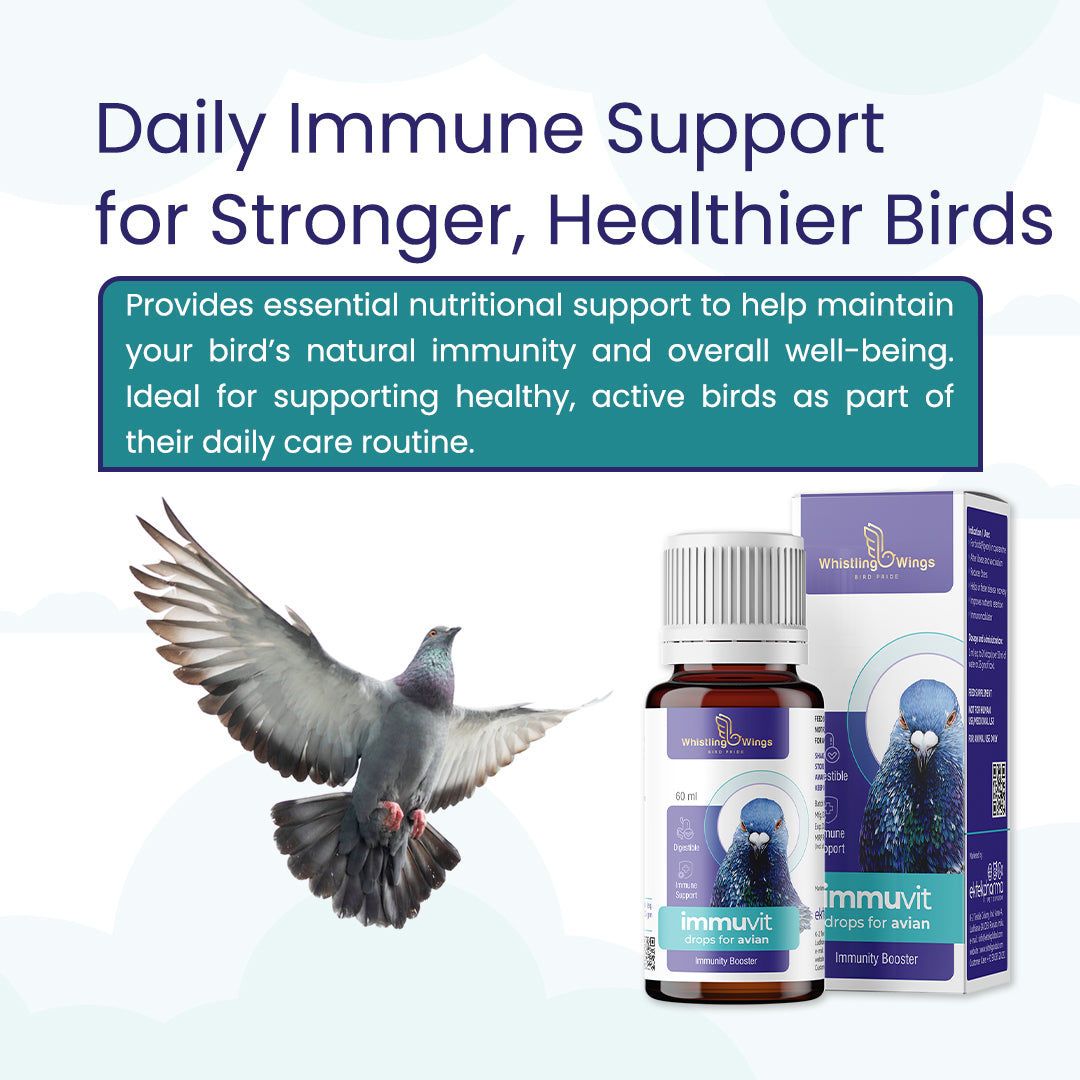 Immuvit Drops for Avian 60ml | Pigeon Supplement