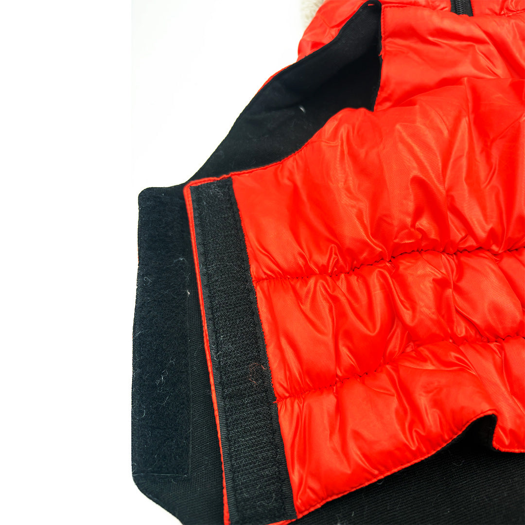 Winter Jacket for Dogs with Cozy Fur Collar