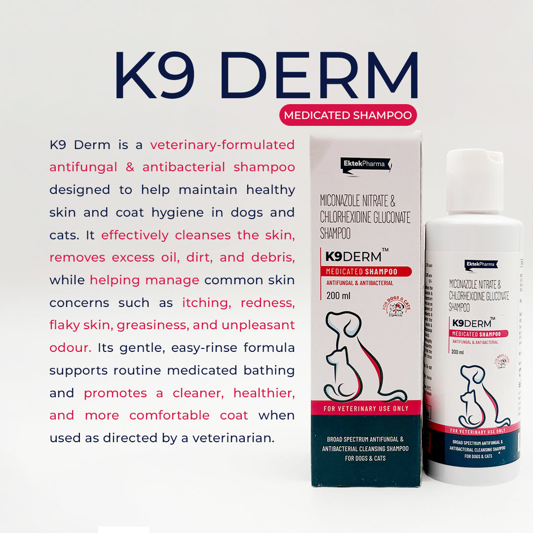Antifungal Shampoo for Dogs | K9 Derm Medicated Shampoo