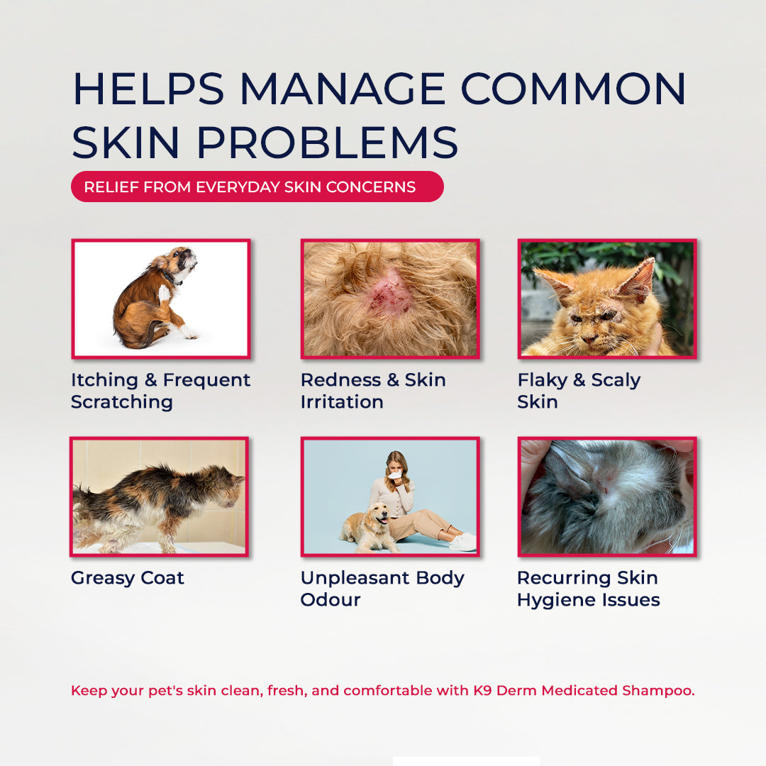 Antifungal Shampoo for Dogs | K9 Derm Medicated Shampoo