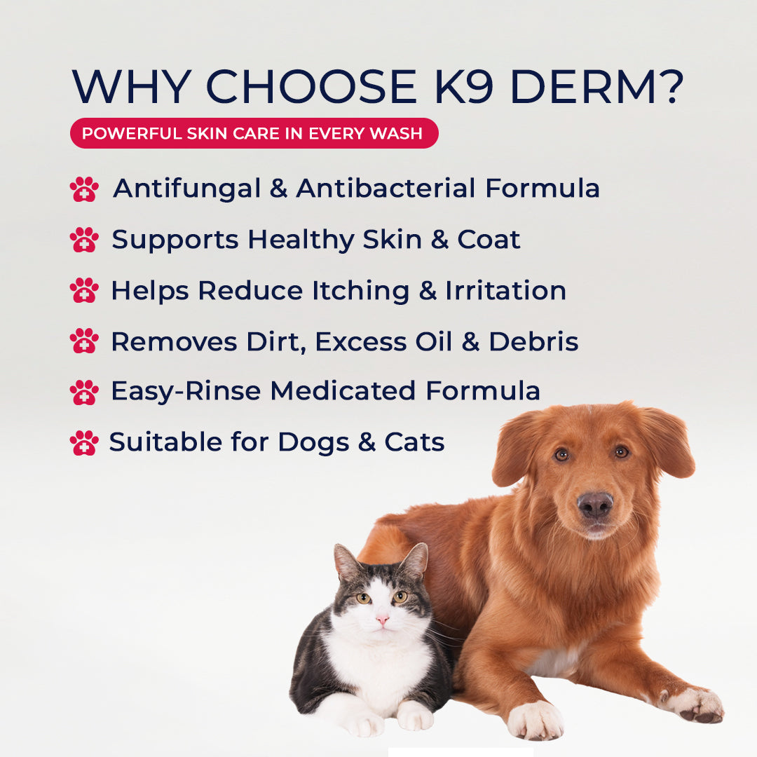 Antifungal Shampoo for Dogs | K9 Derm Medicated Shampoo