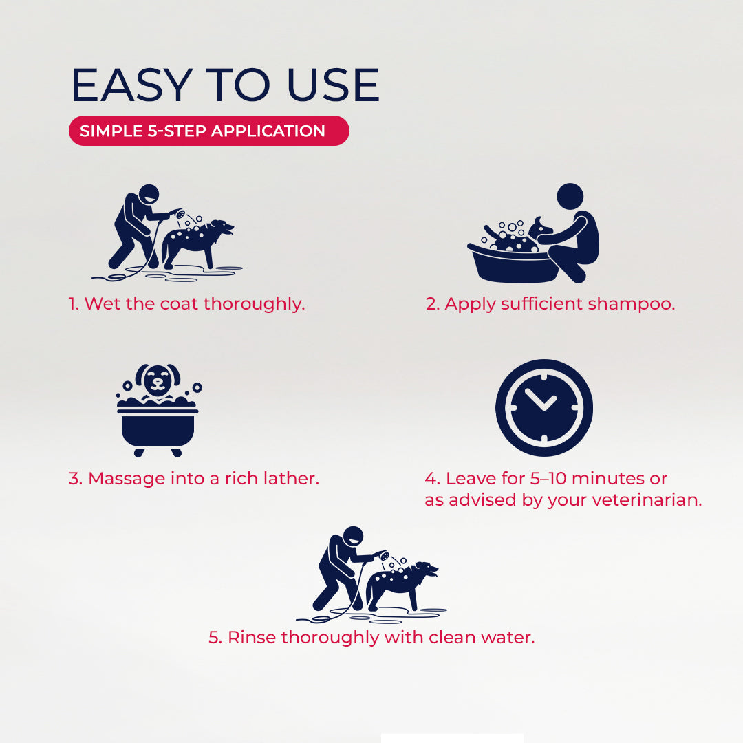 Antifungal Shampoo for Dogs | K9 Derm Medicated Shampoo