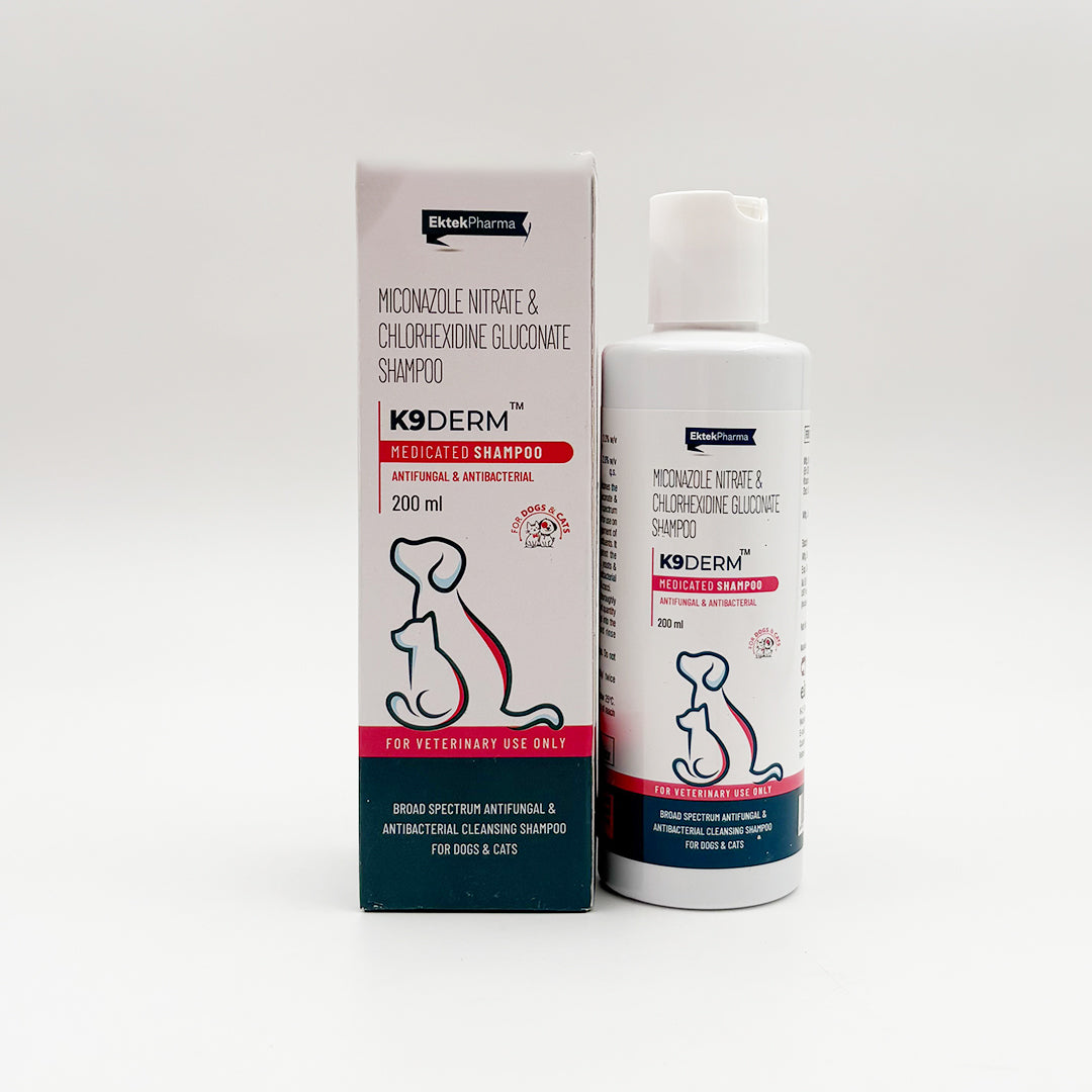 Antifungal Shampoo for Dogs bottle