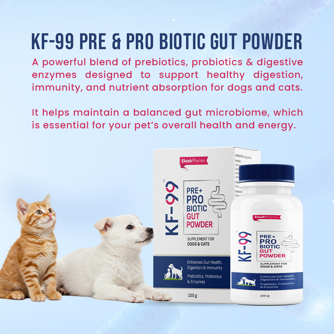 KF-99 Pre-probiotic gut powder