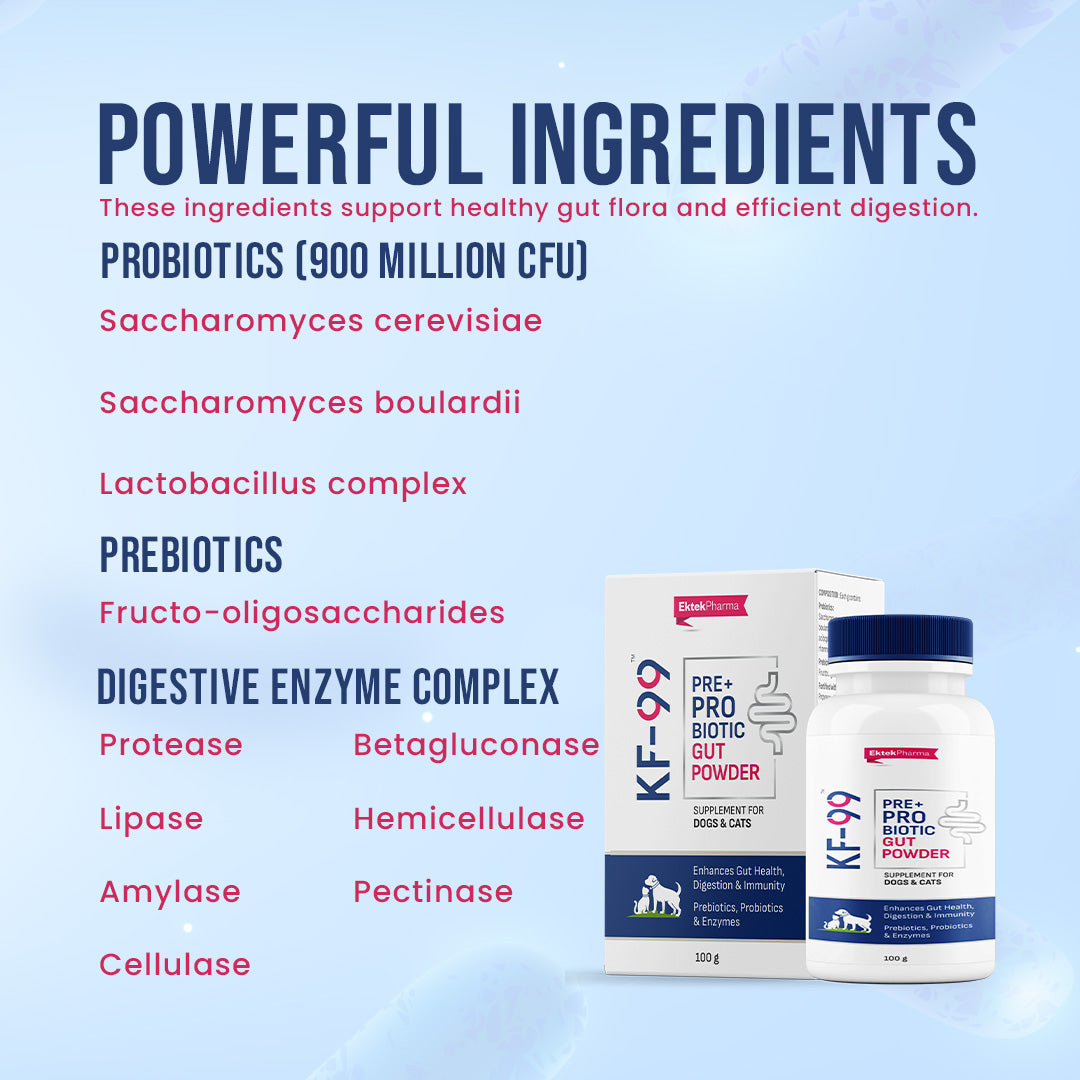 KF-99 ingredients of gut powder