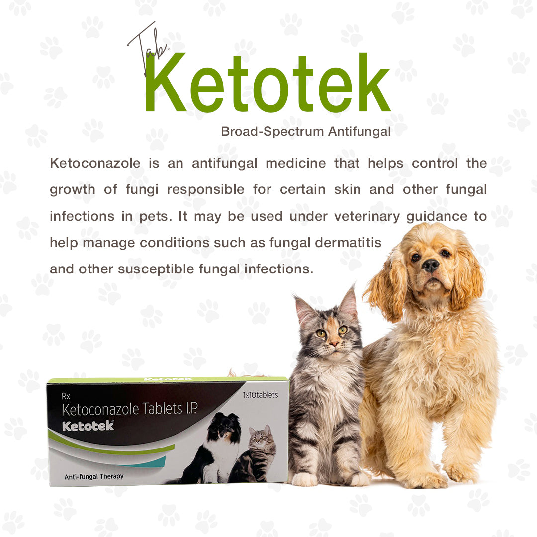 description of Ketotek Tablet