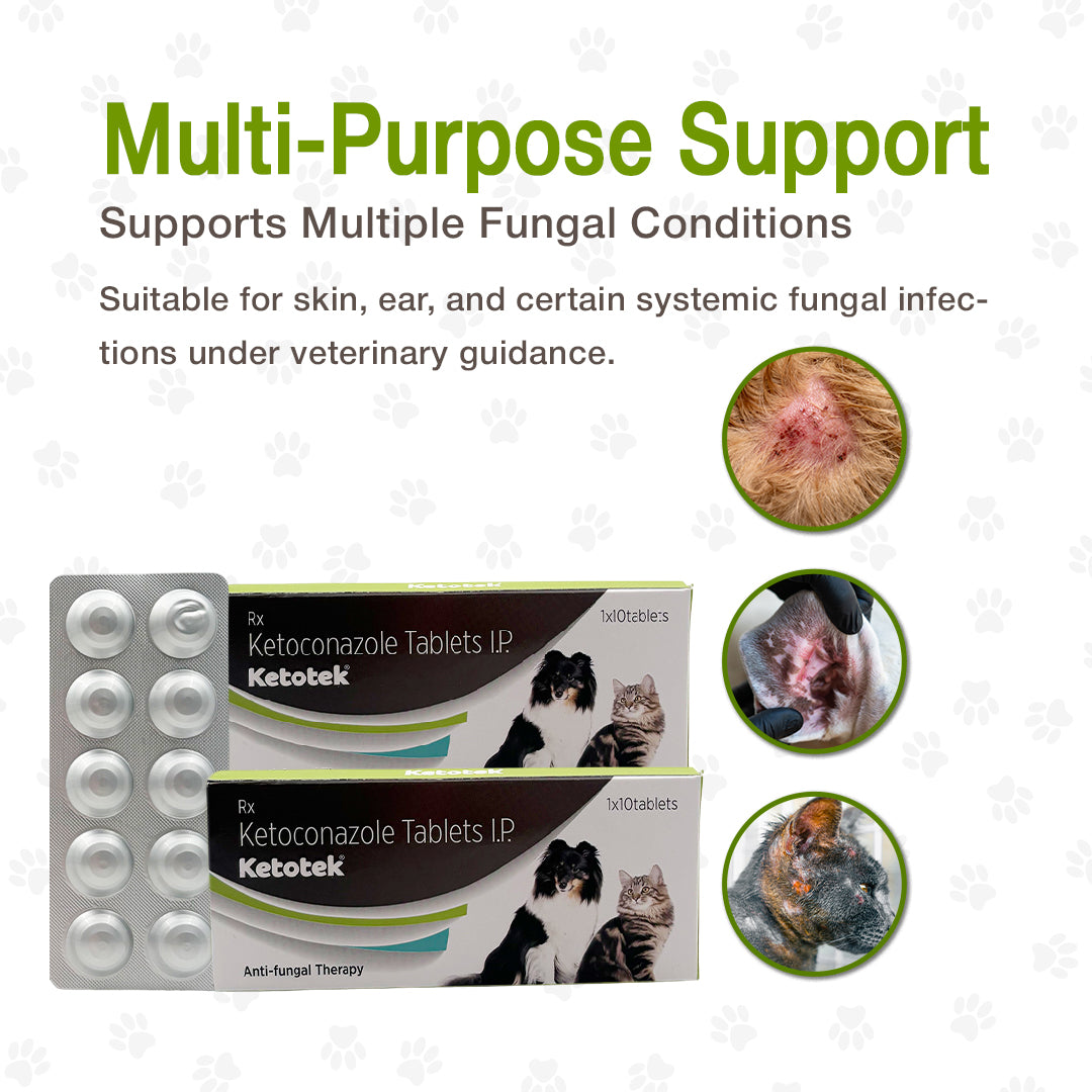 Ketotek Tablet fungal allergy support