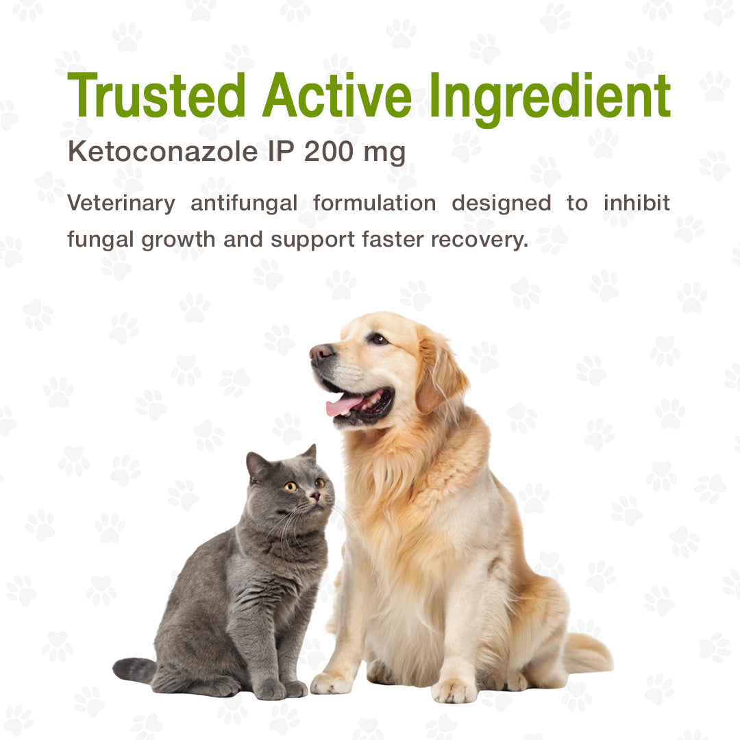 antifungal support Ketotek Tablet