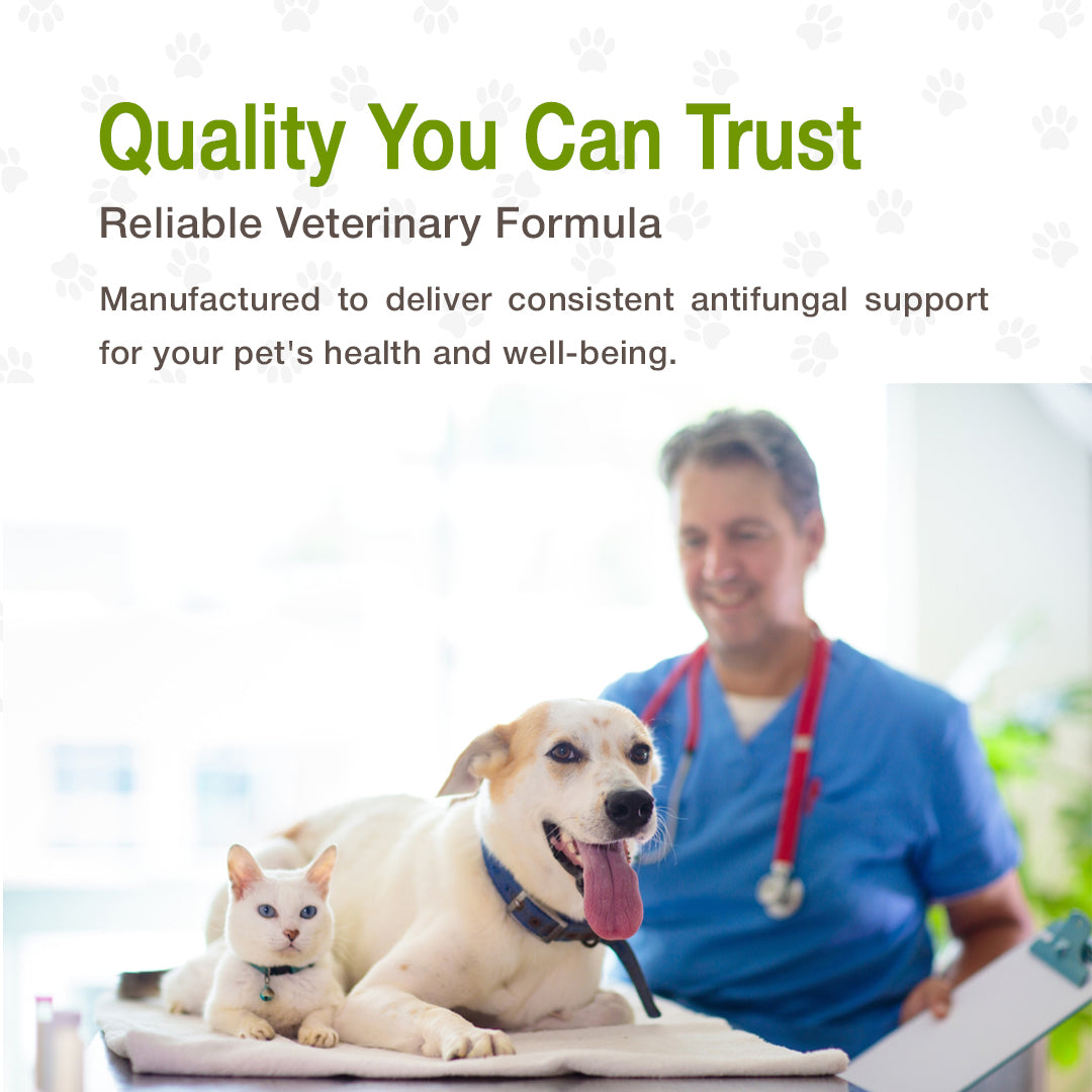 Ketotek Tablet 200 mg – Antifungal Tablets for Dogs & Cats | Pack of 2