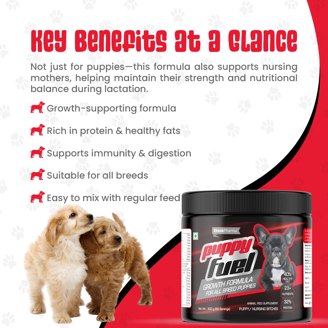 Key-benefits-of-Puppy-fuel