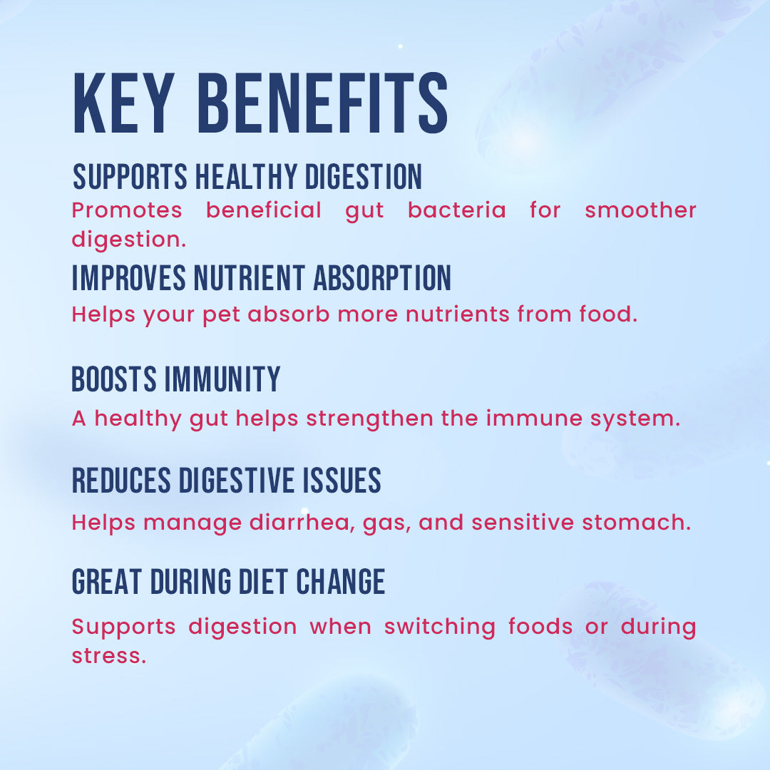 Key Benefits of KF-99 biotic gut powder