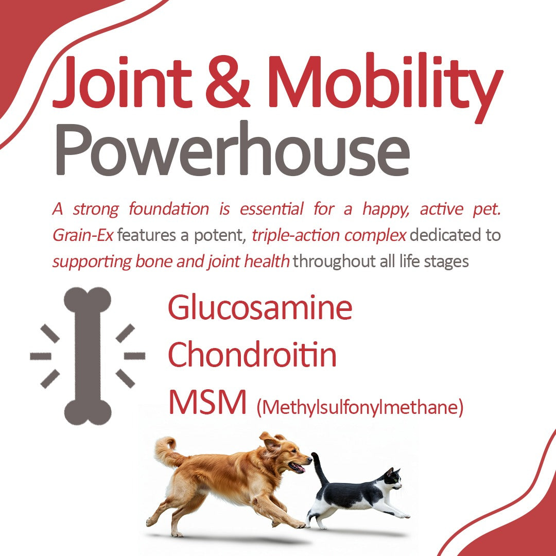 Key features of Grain-EX Powder such as grain-free formula, herbal extracts, vitamins, minerals, and joint-support nutrients