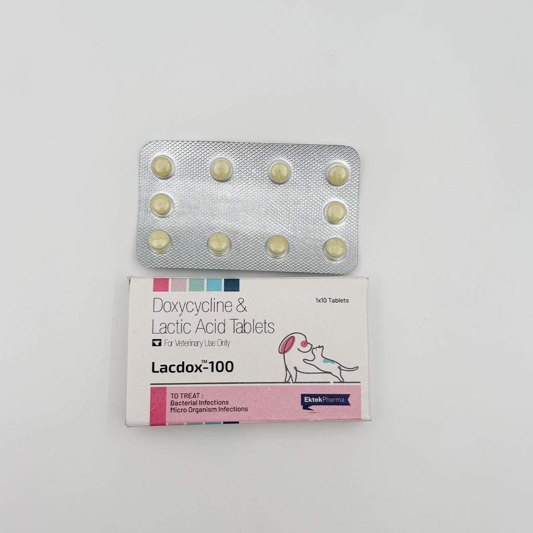 Lacdox™ Doxycycline Tablets for Dogs & Cats 100 mg - 10 tablets