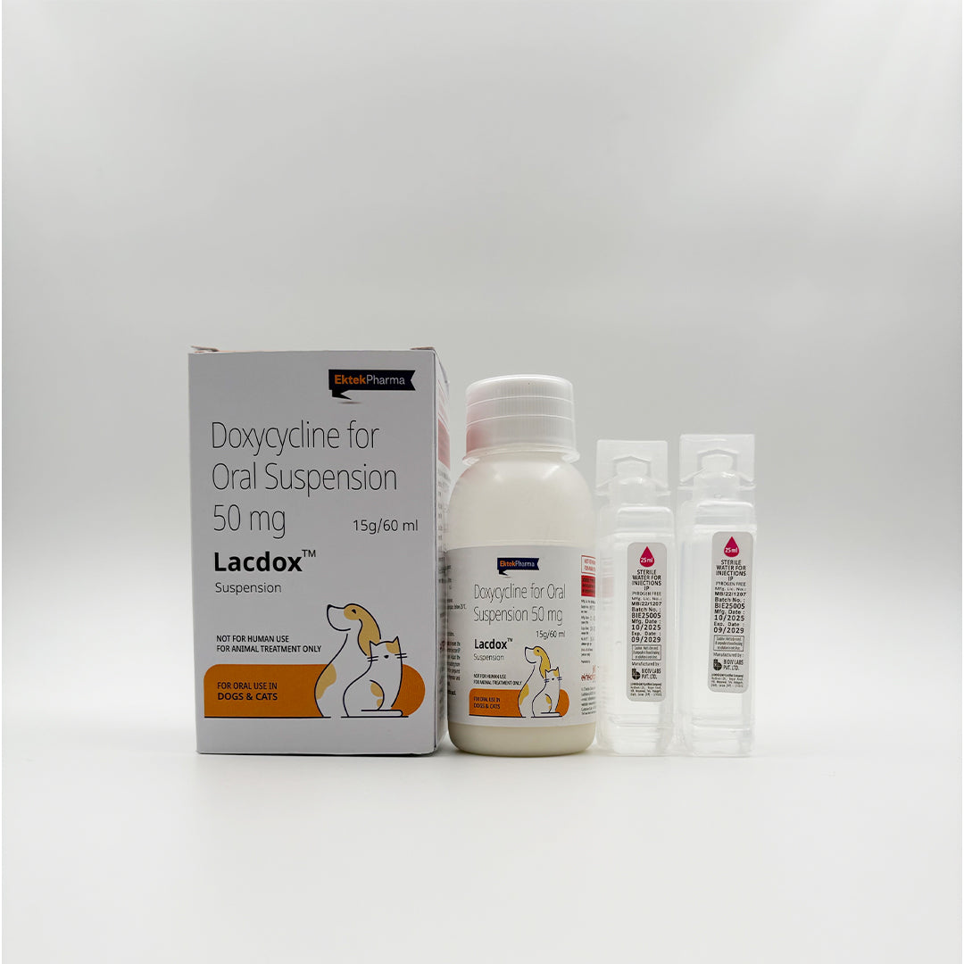 Lacdox doxycycline oral suspension 50 mg for dogs and cats veterinary antibiotic