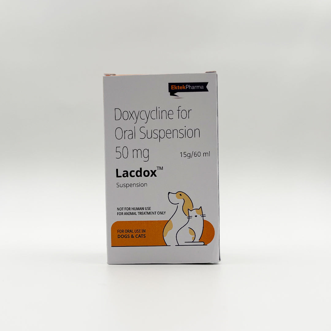 Lacdox doxycycline oral suspension bottle with sterile water ampoules for pets