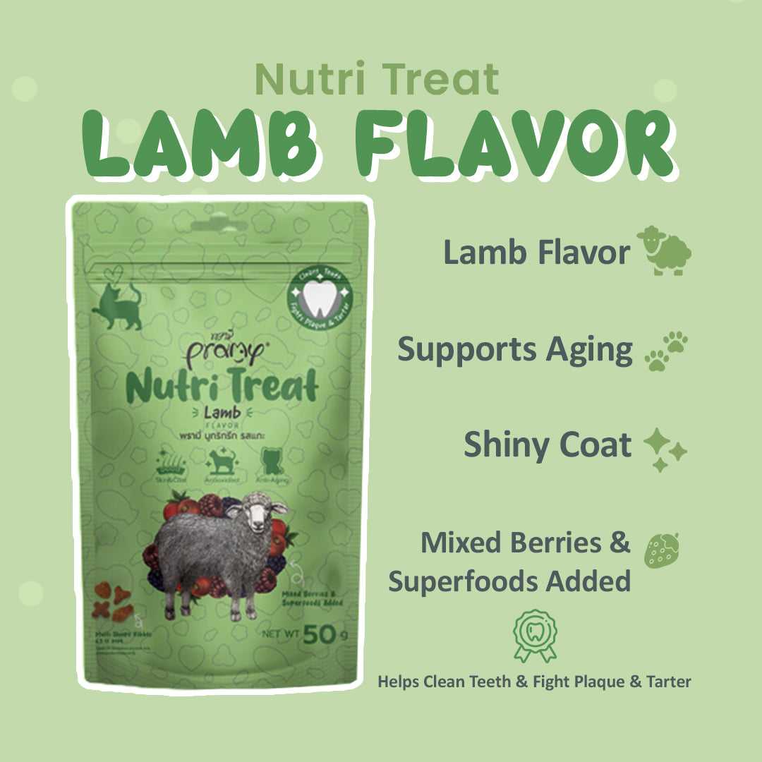 Lamb flavored cat treats in multi-shape crunchy form