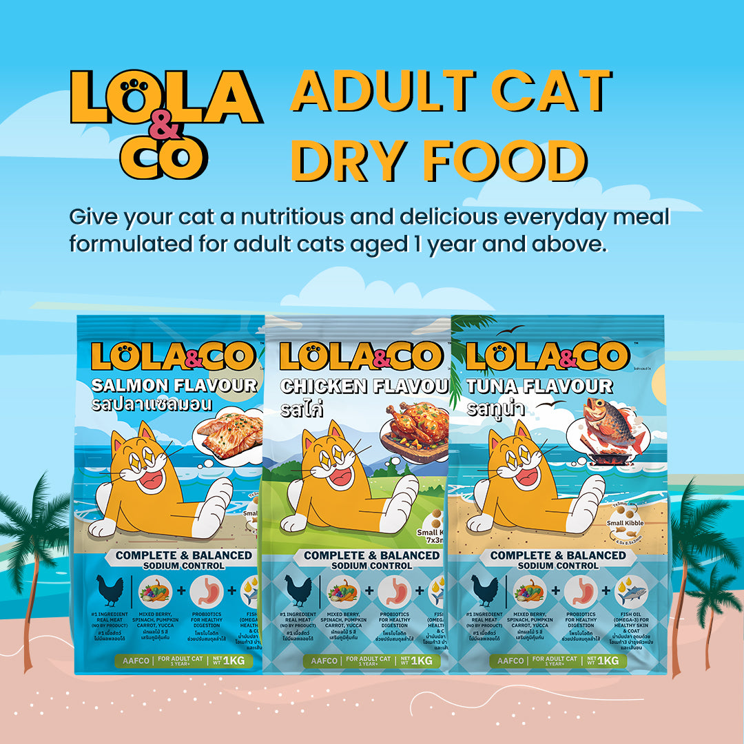 LOLA & CO Adult Cat Dry Food in 3 flavours