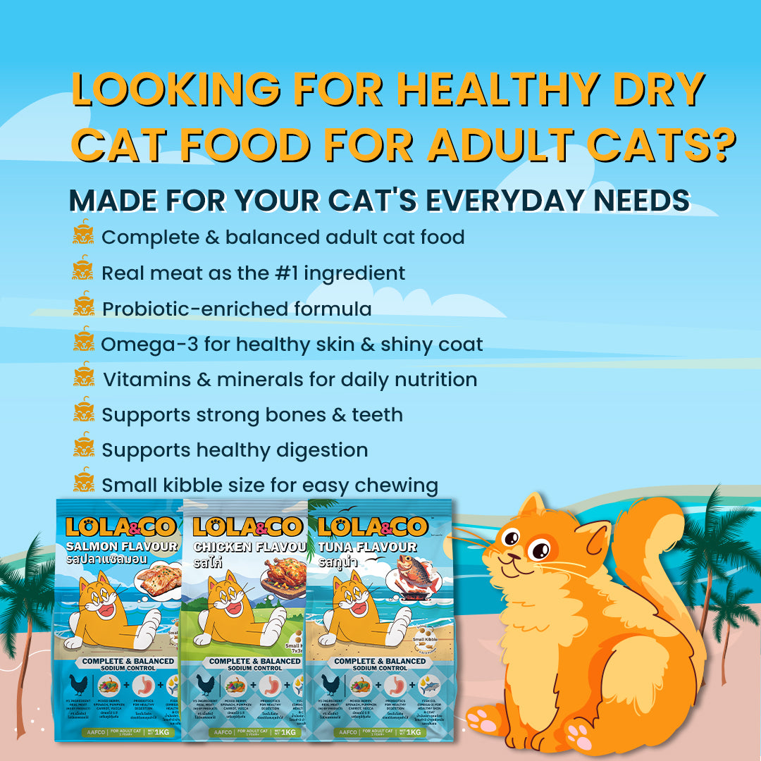 Benefits of LOLA & CO Adult Cat Dry Food