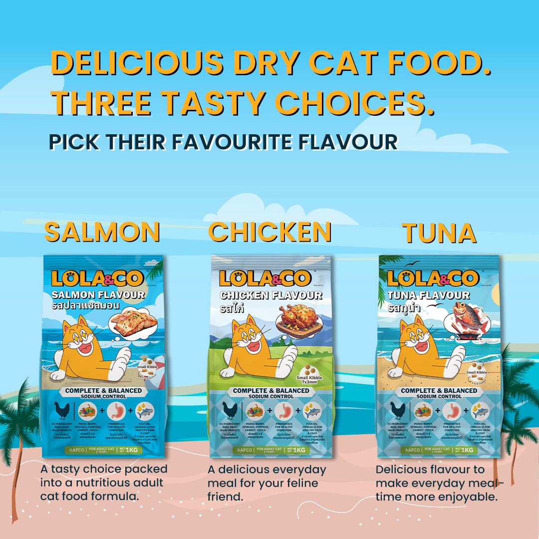 LOLA & CO Adult Cat Dry Food delicious for your cats