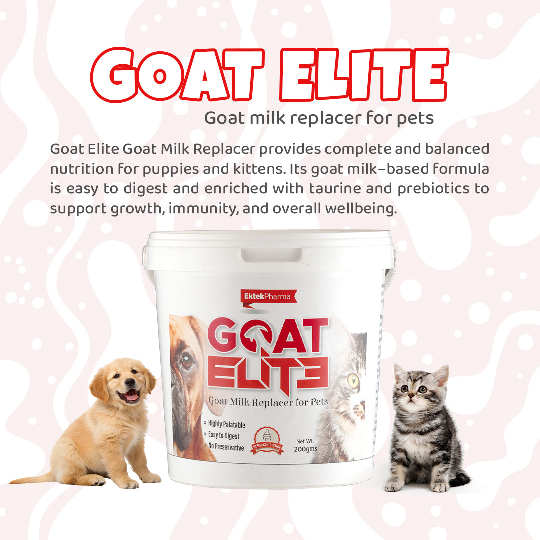 Milk replacer formula for dogs and cats