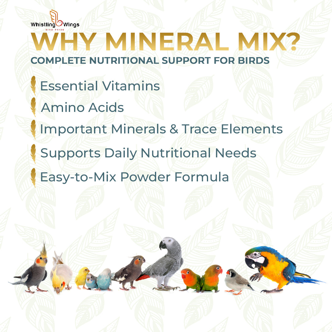 why Bird Mineral Mix Powder 