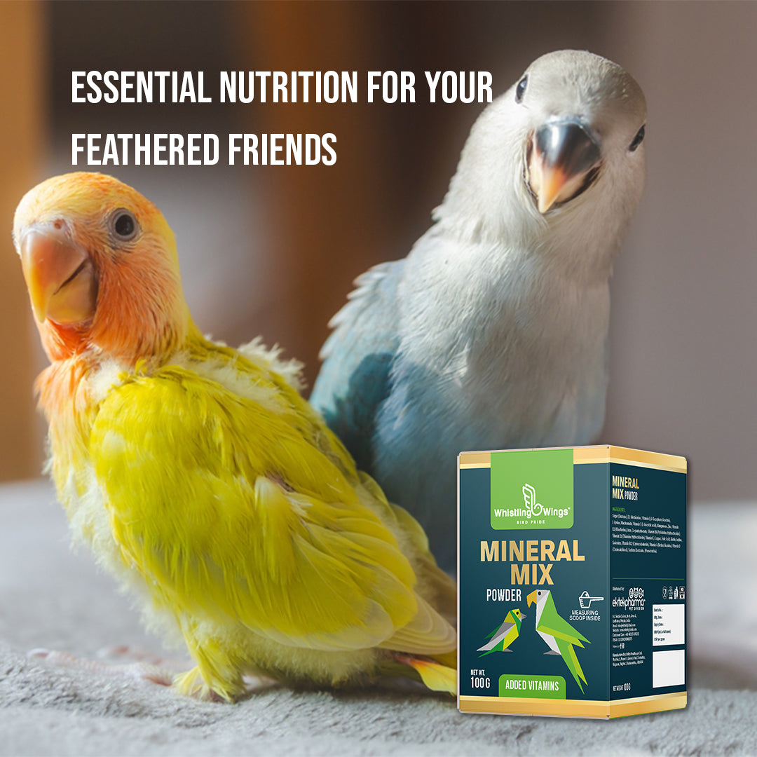Bird Mineral Mix Powder 100gm