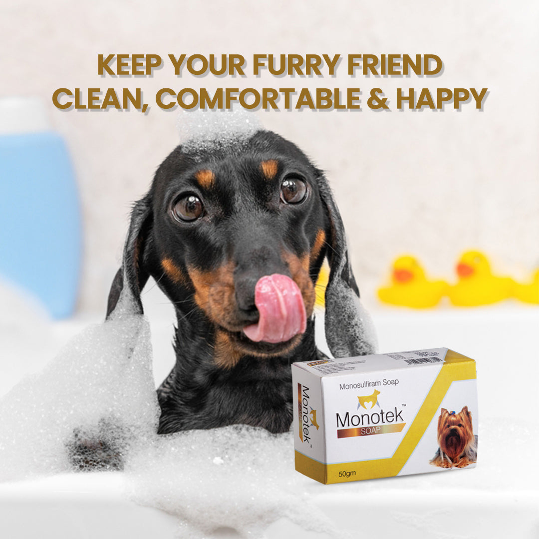 Monotek-soap-to-prevent-itch