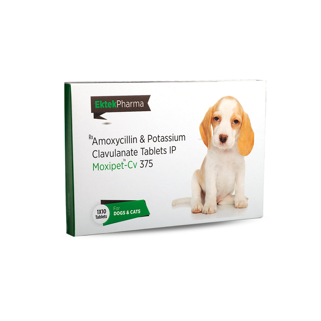 Moxipet CV Amoxicillin & Potassium Clavulanate Tablets IP for Dogs & Cats
