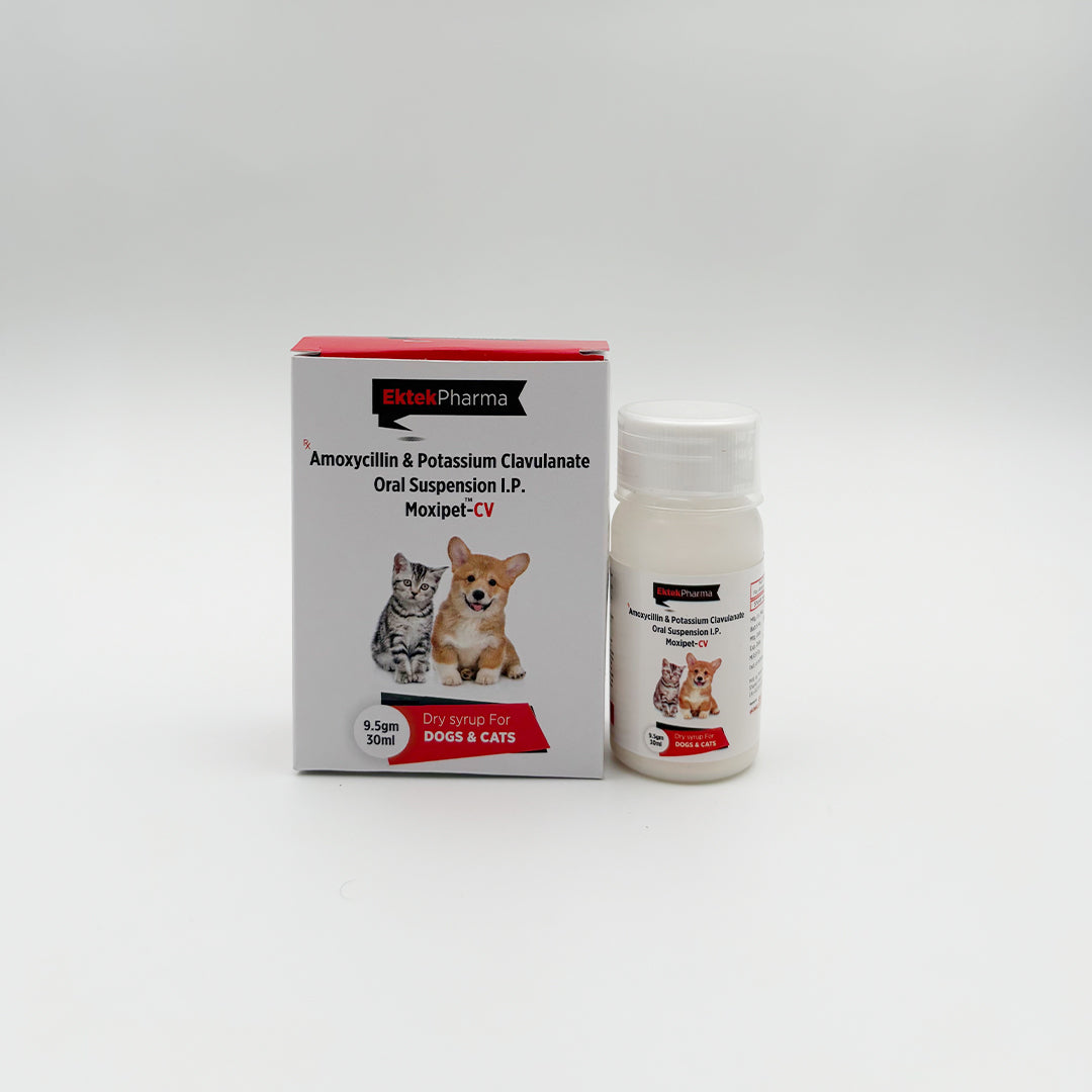 Moxipet-CV oral suspension for dogs and cats