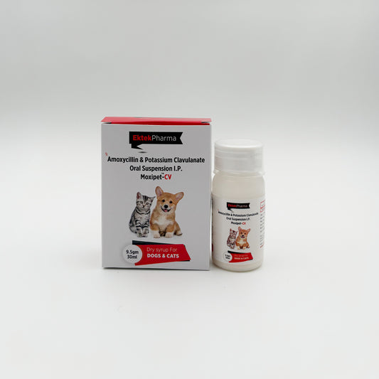 Moxipet-CV oral suspension for dogs and cats