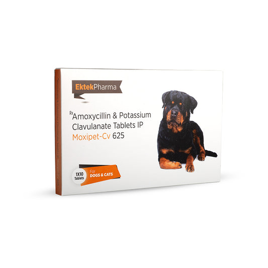 Moxipet CV Amoxicillin & Potassium Clavulanate Tablets IP for Dogs & Cats