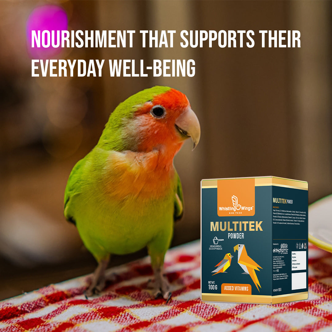 Multitek Powder 100gm – Multivitamin Powder for Birds