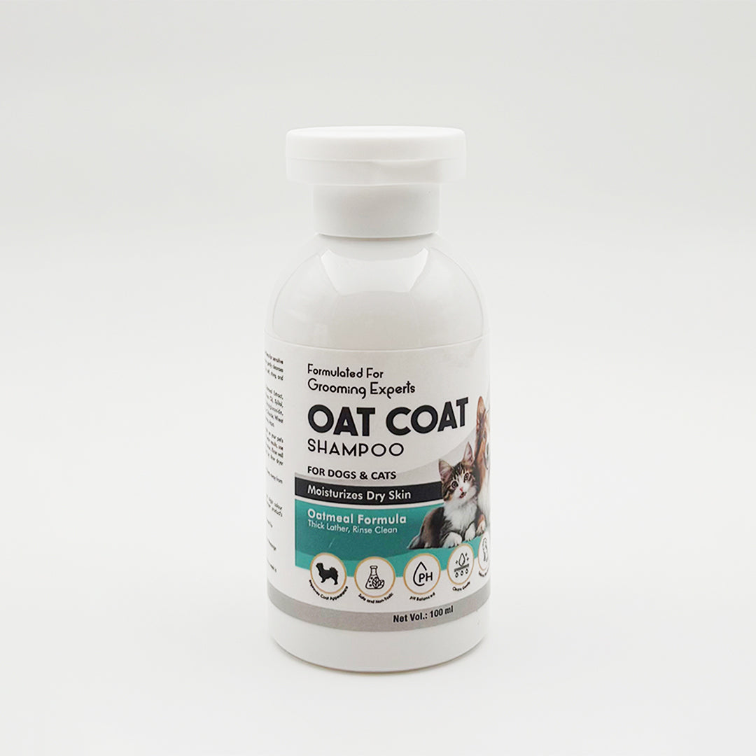 Coat Care Shampoo & Conditioner for Dogs & Cats
