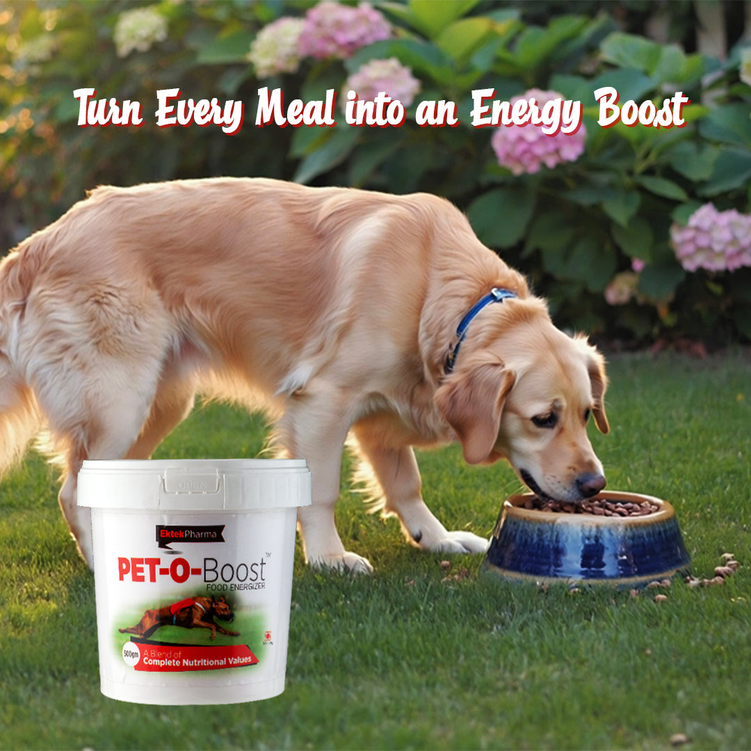 Pet-o-boost-pet-powder-to-boost-energy