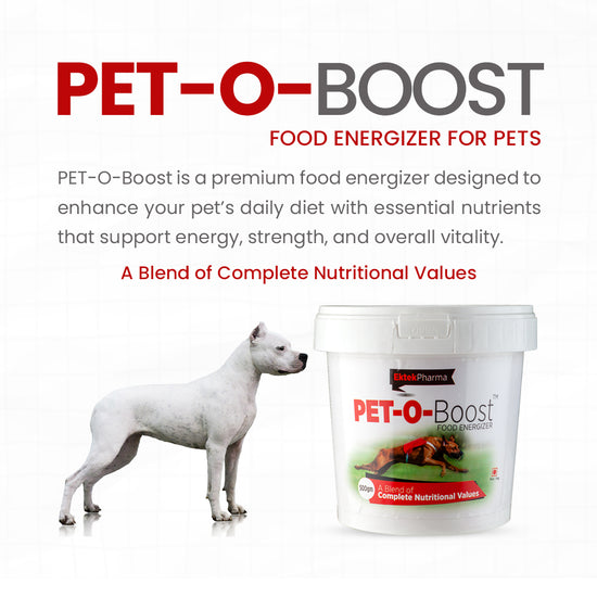 Pet-O-Boost Supplement Powder Food Energizer – Ektek Global