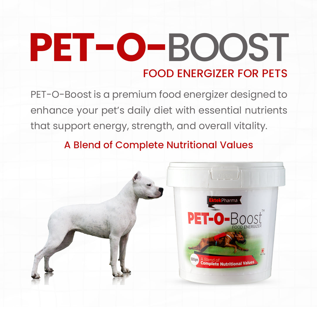 Pet-o-boost-powder-for-energy-for-dogs